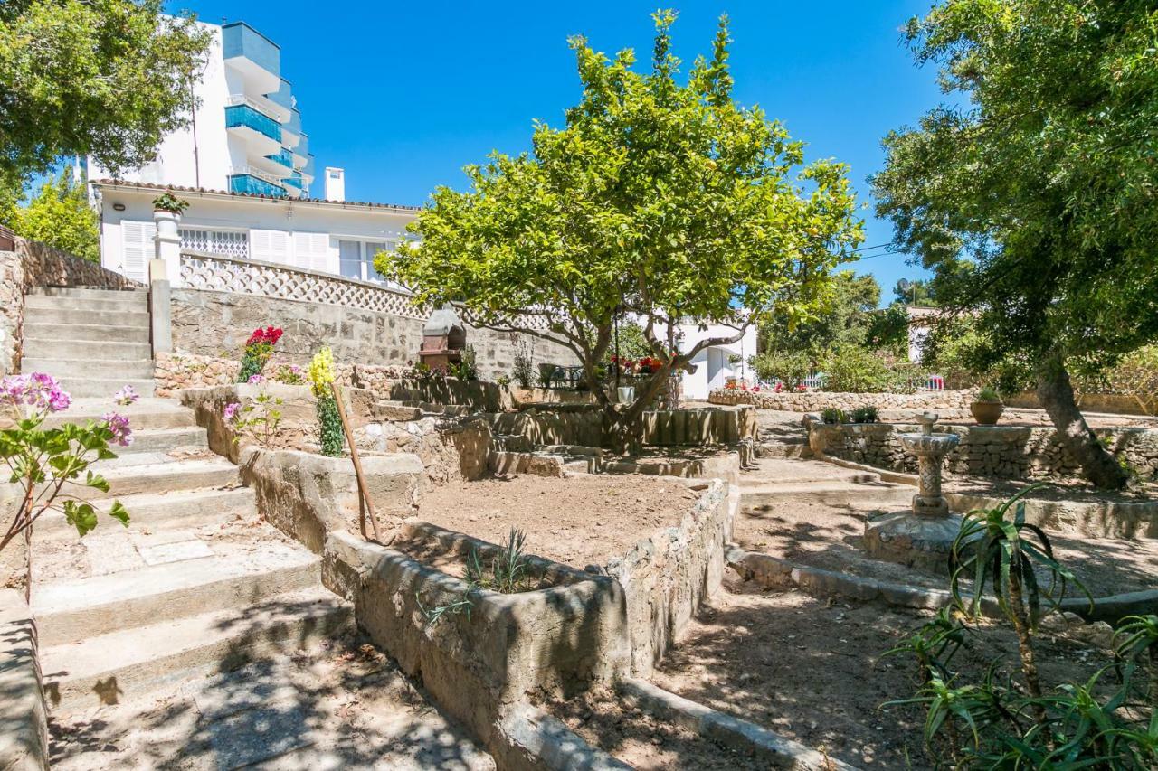 Hébergement de vacances Chalet En Son Rigo Palma